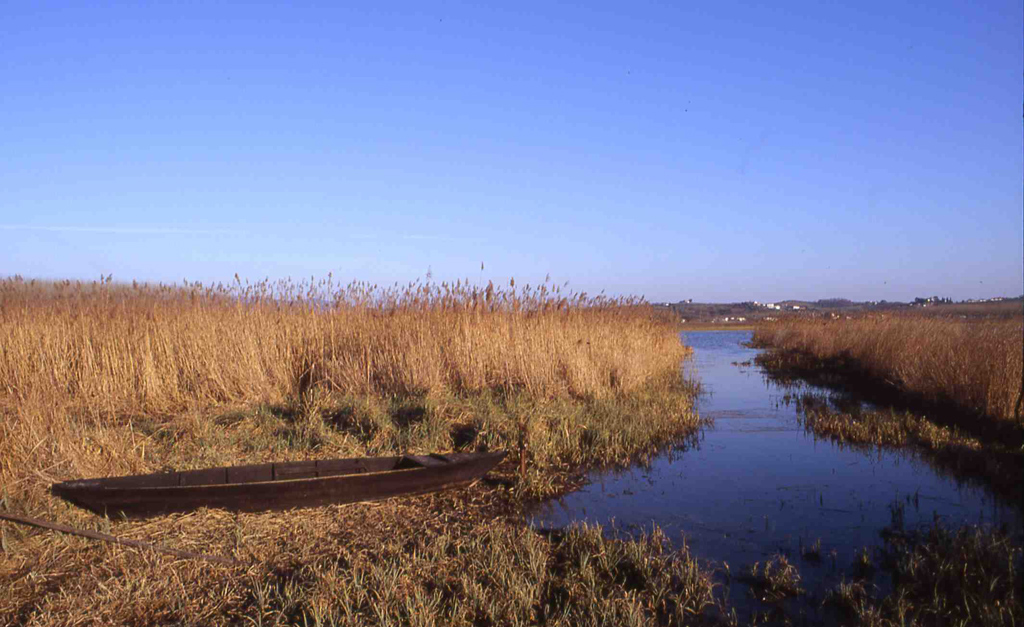 Padule di Fucecchio