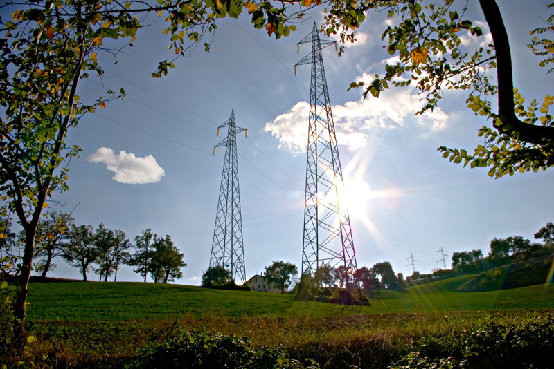 Da fastidiosi a protagonisti