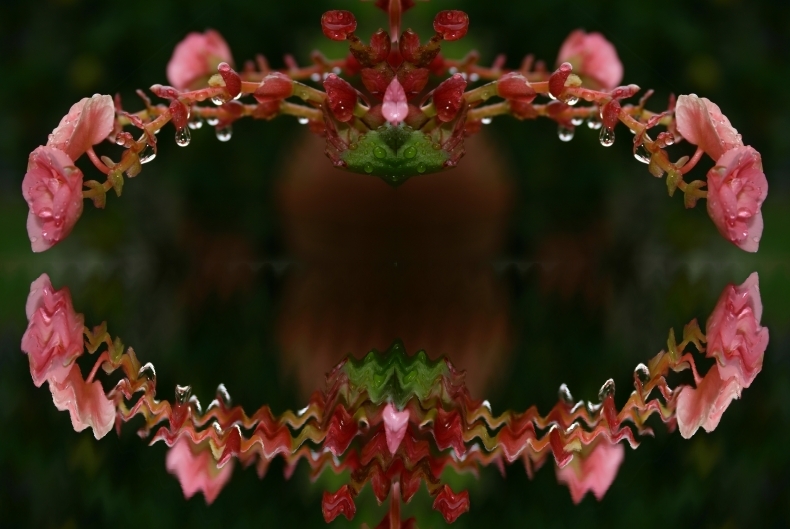 RAPSODIA DI GOCCE CON RIFLESSO