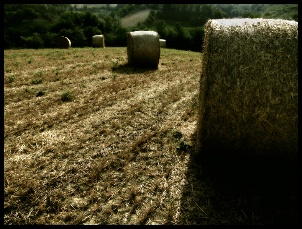 Alla luce del mattino