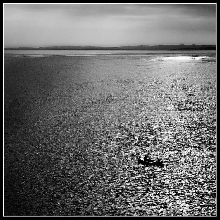 Navigando insieme...