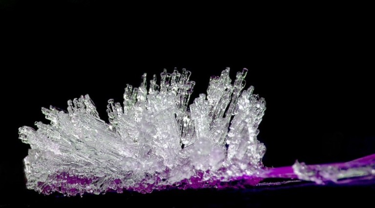 Lo spazzolino da denti