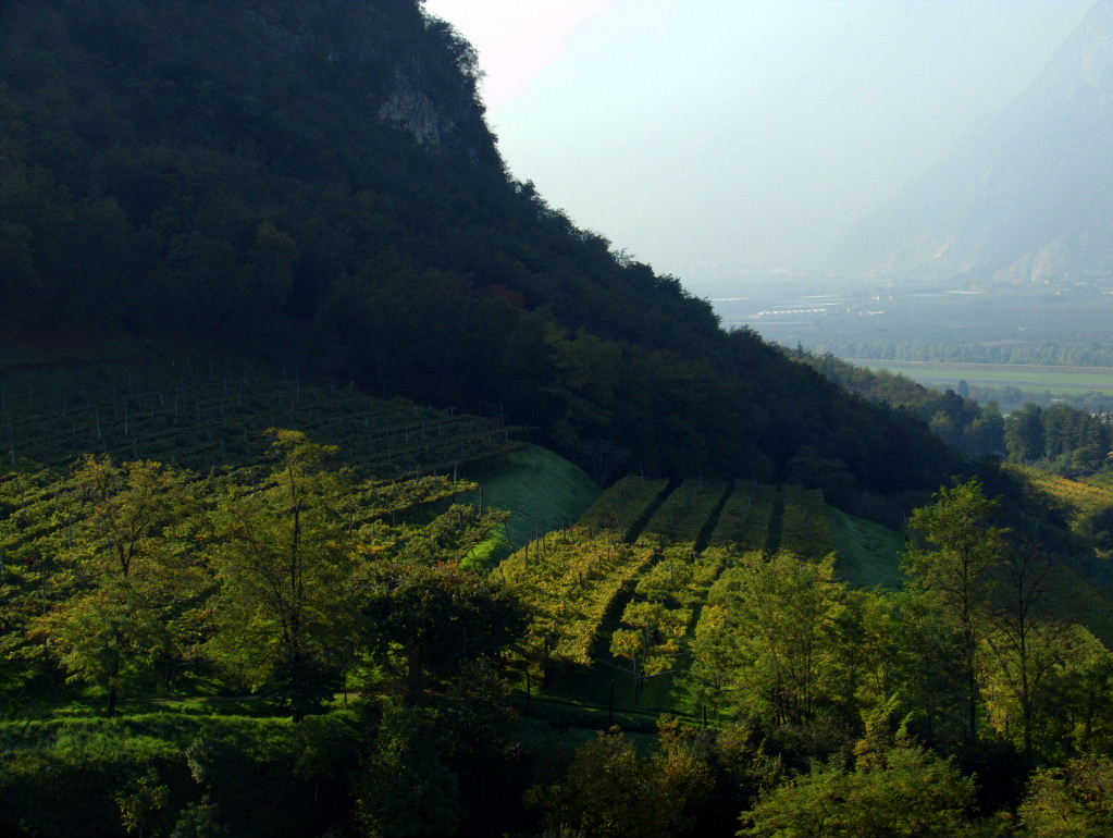 Primi Raggi+Foschia in Valle