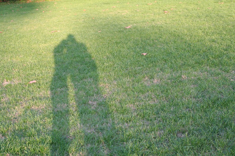 .....ti amavo gi�....