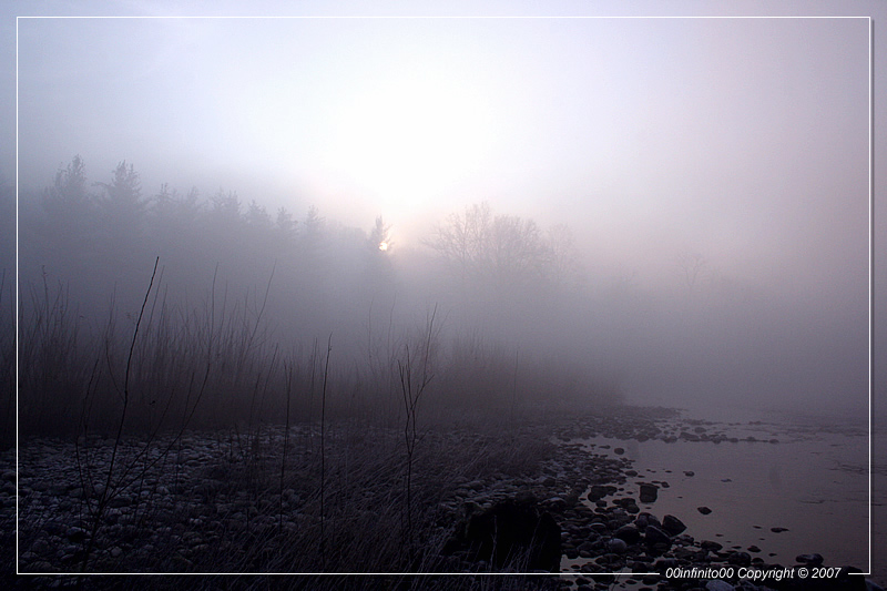 :: "La sua tranquilla imago il Sol dipinge..."