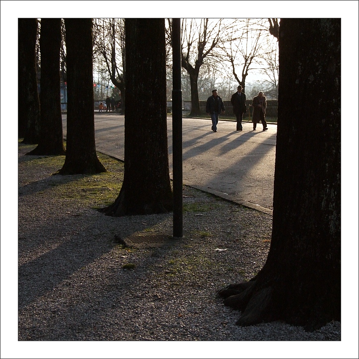 Parco al tramonto
