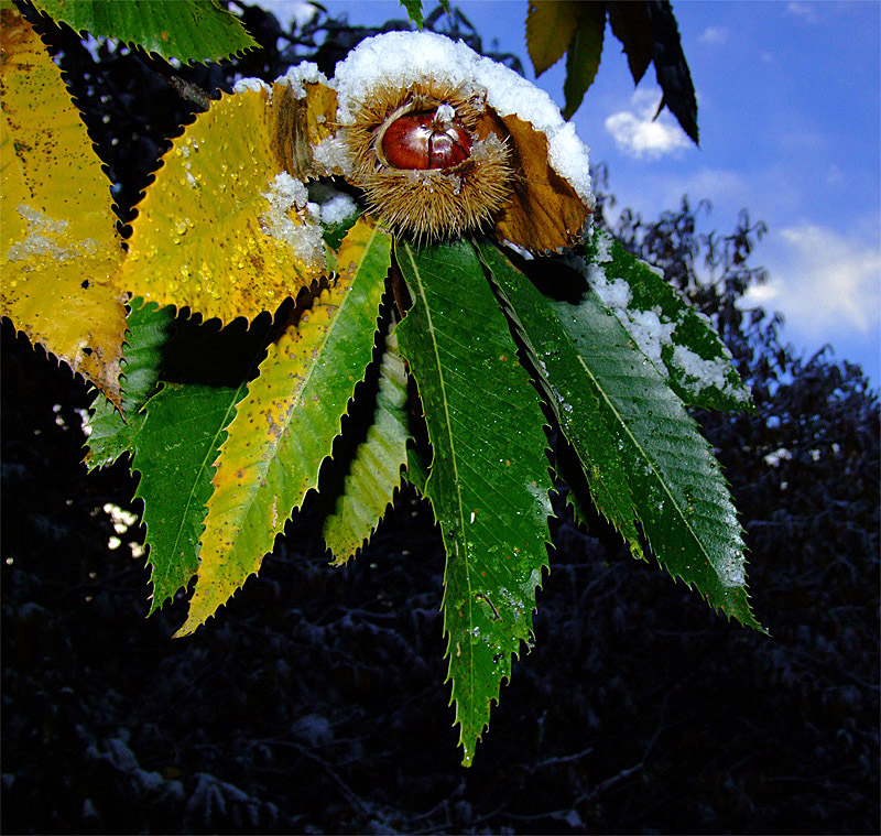...non esistono pi� le mezze stagioni...