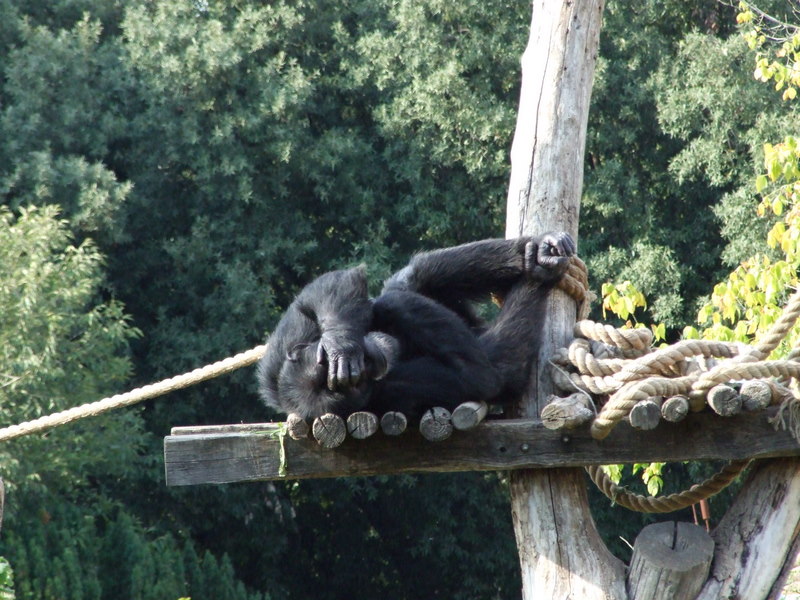 Oh no!! Anche questo ora fa il fotografo...