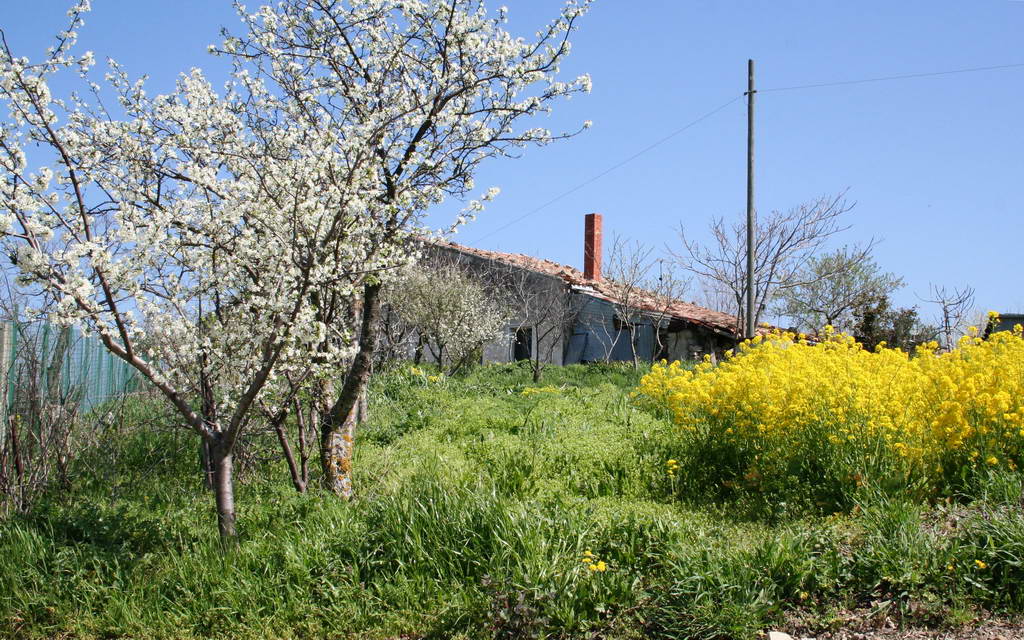 La casa nella prateria