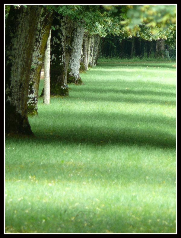 .....soffice tappeto