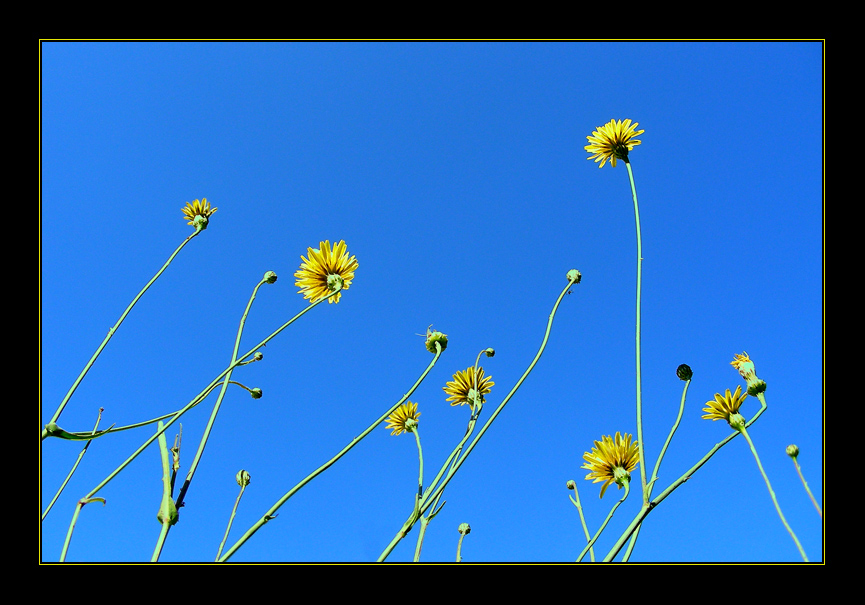 Verso l'azzurro, in ordine sparso