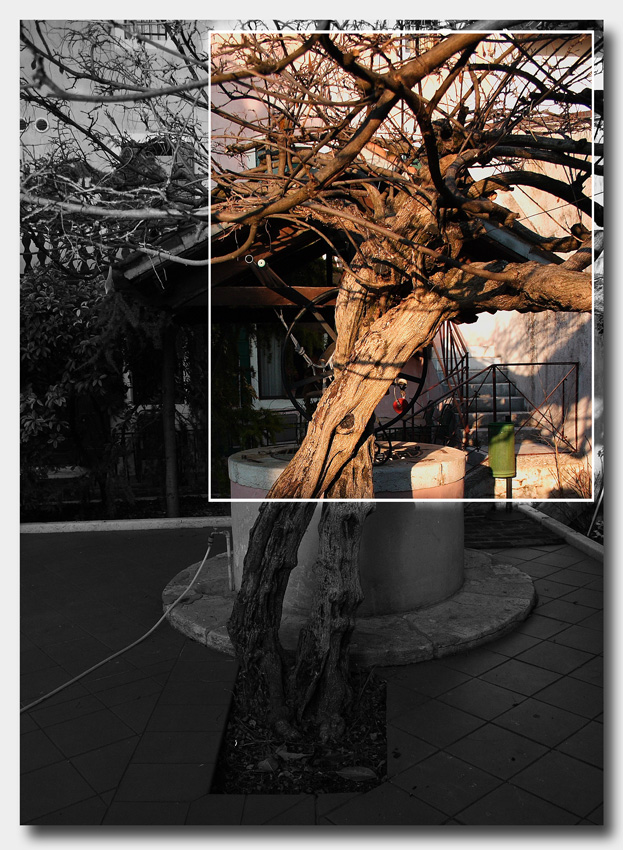 i miei prossimi 1000 anni...