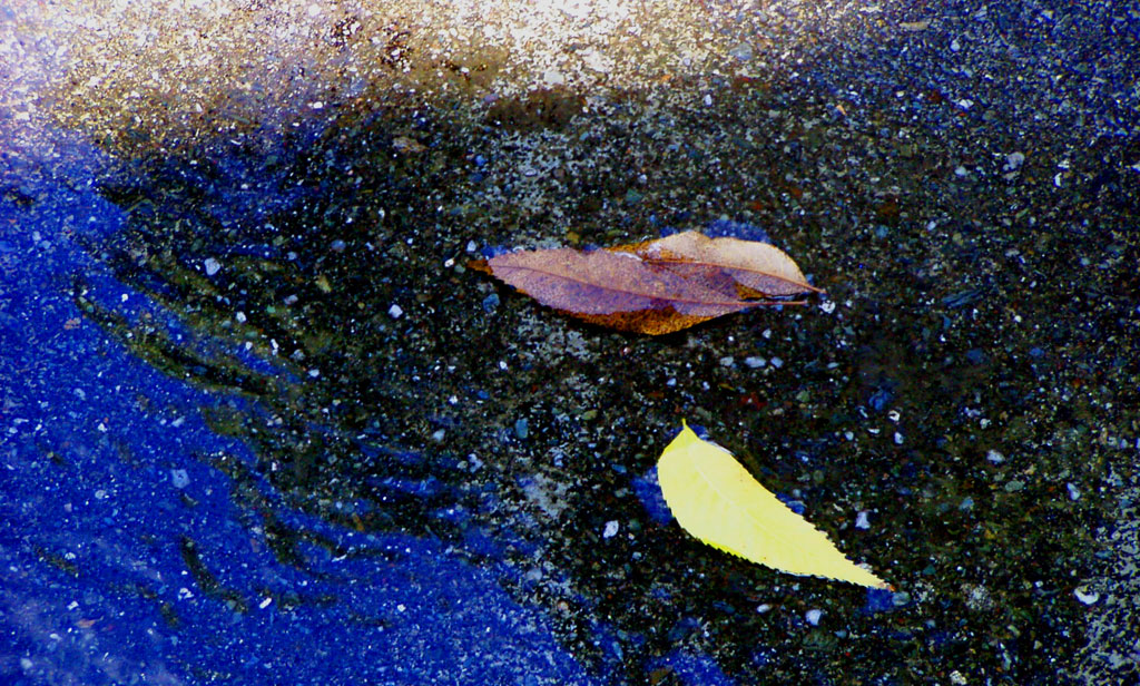 Autunno - Cadono le foglie -