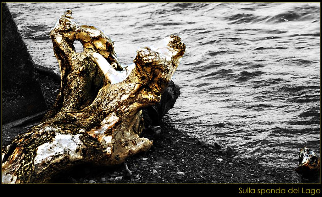 Oro sulla sponda del Lago