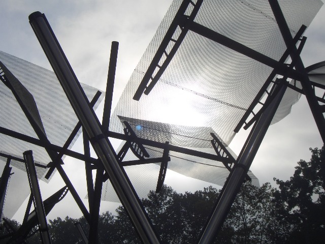 tra le verdi frasche