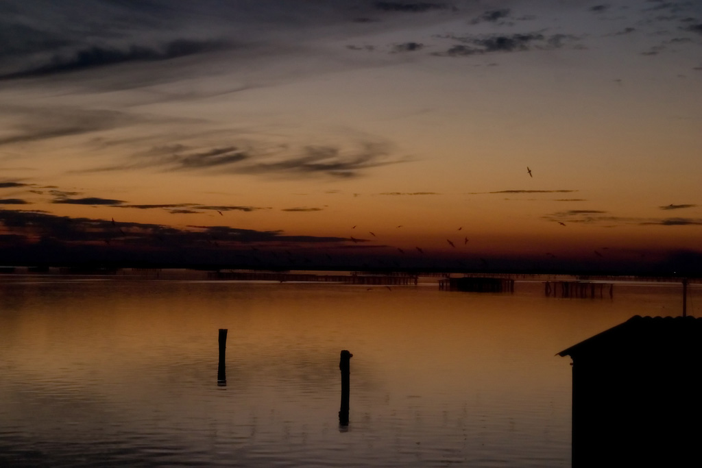 Tramonto sul delta del Po 2