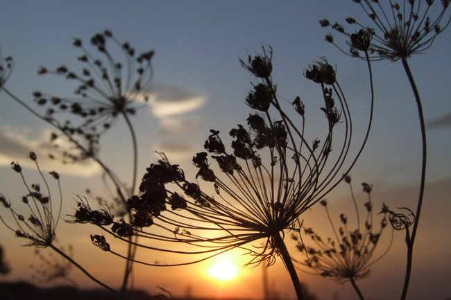 leggeri pensieri al vento