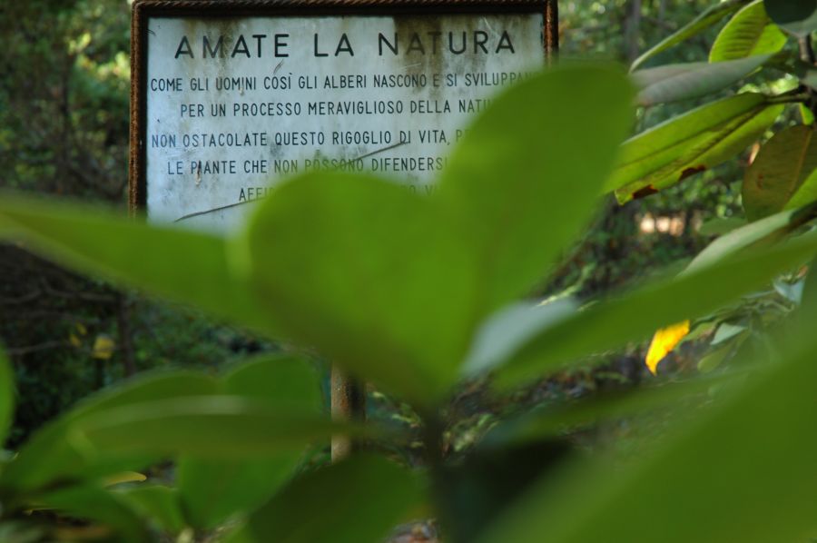 Amate la natura