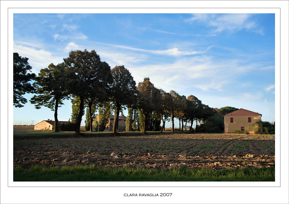 La via alberata.....