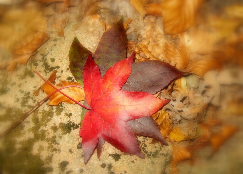 insieme ... fino alla fine