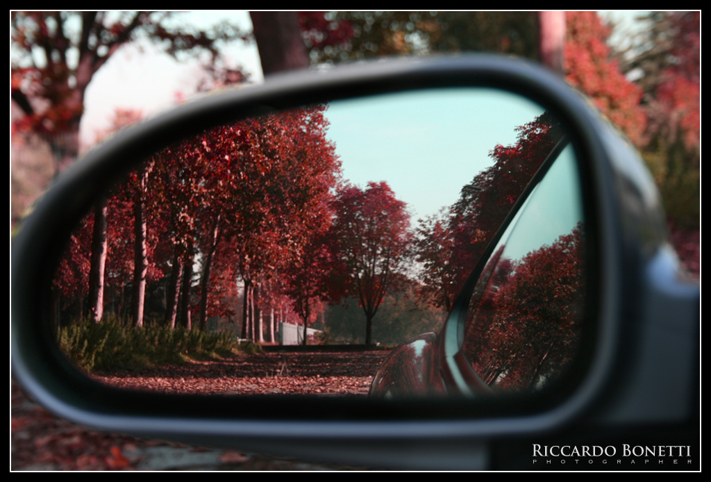 Il mondo non � pi� lo stesso quando lo guardi nello specchietto.