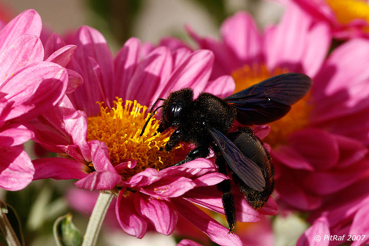 ... � ora di pranzo