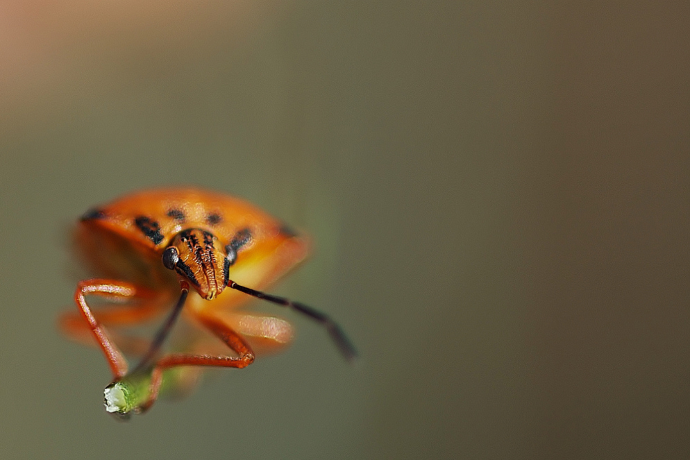 Aggrappata ad un Filo