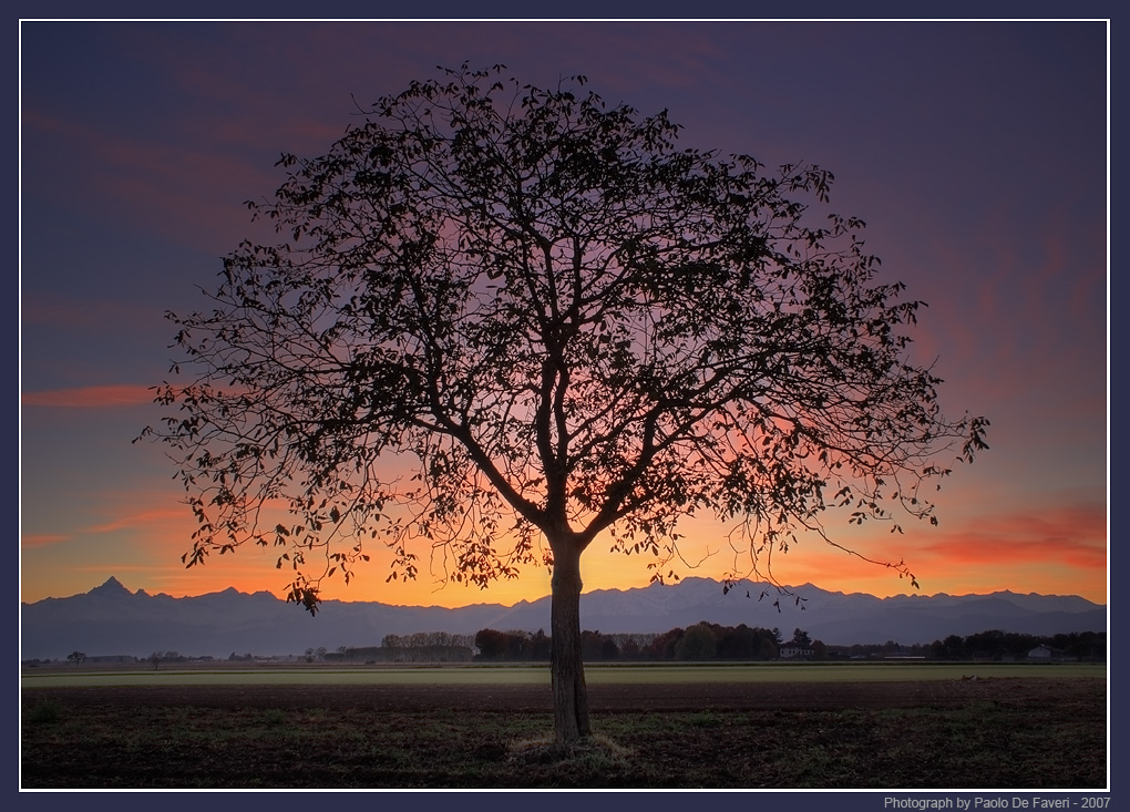 La campagna di Scalenghe al tramonto, Torino.