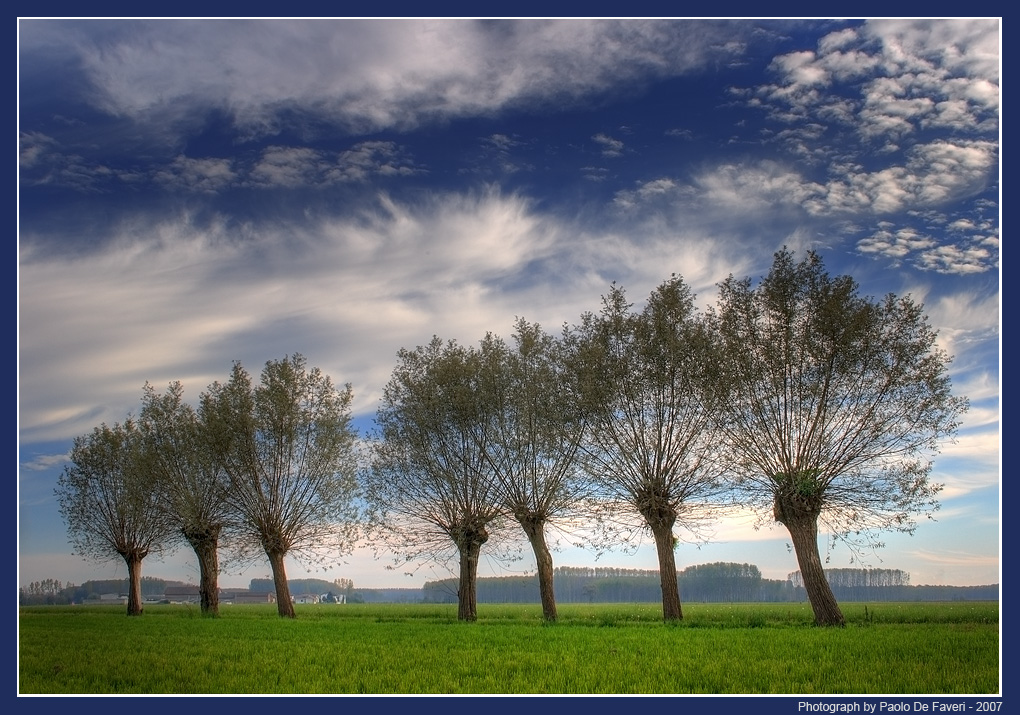 La campagna di Scalenghe, Torino. #2