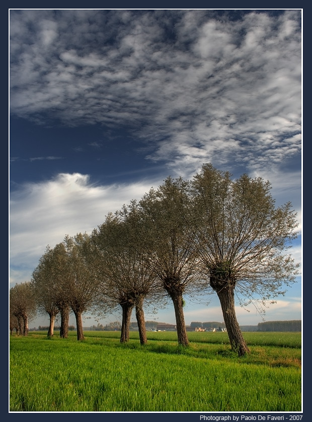 La campagna di Scalenghe, Torino. #4