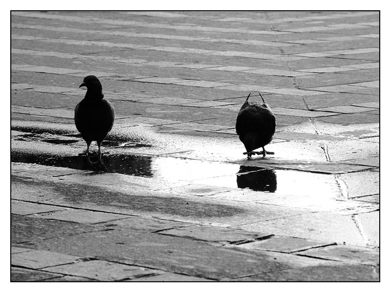 ::: TU BEVI CHE IO CONTROLLO... :::