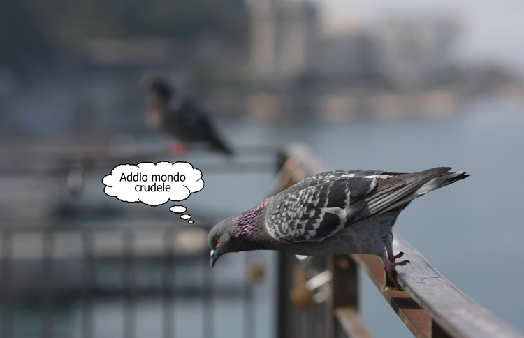 un suicidio volatile