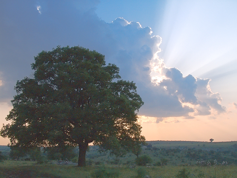 .....raggi di luce....