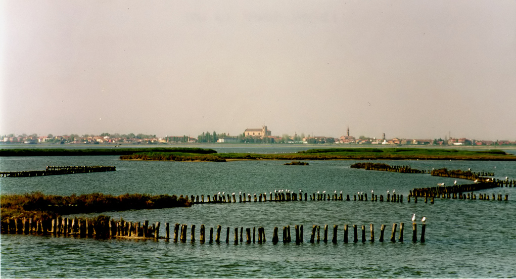 VALLI DI COMACCHIO...