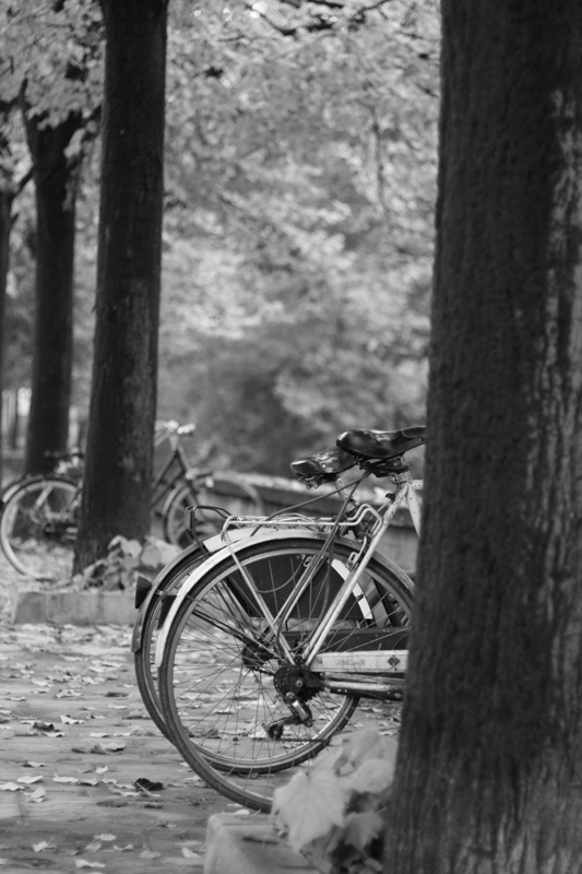 Autunno in bicicletta