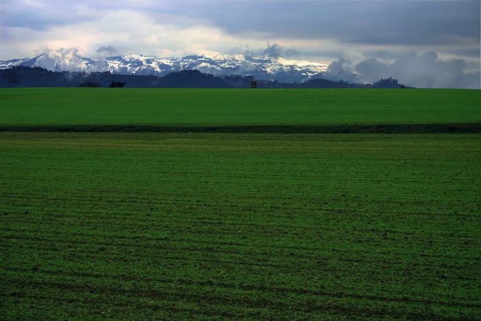 prospettive brianzole