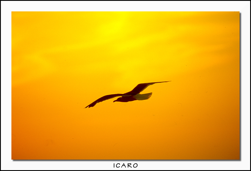 ICARO
