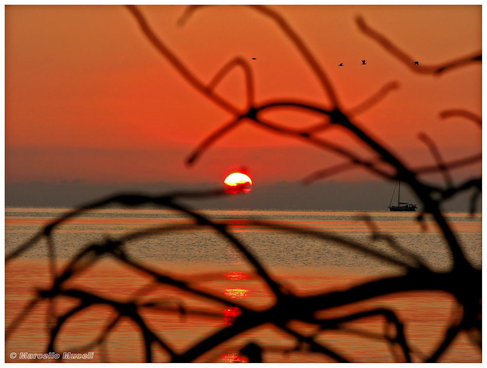 Rossa Tranquillit�