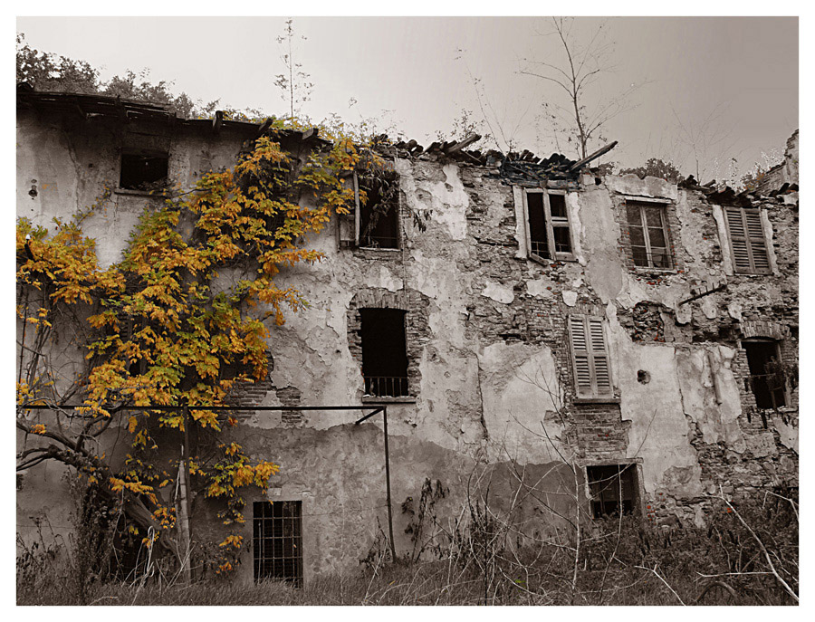 quello che rimane...