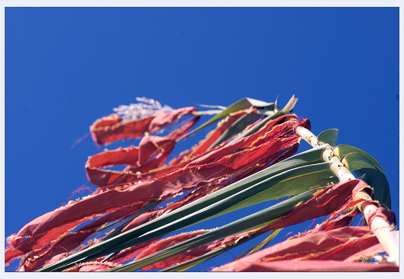 COLORI AL PONTE DI  CASCINA