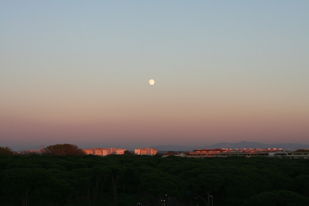Dalla finestra di casa