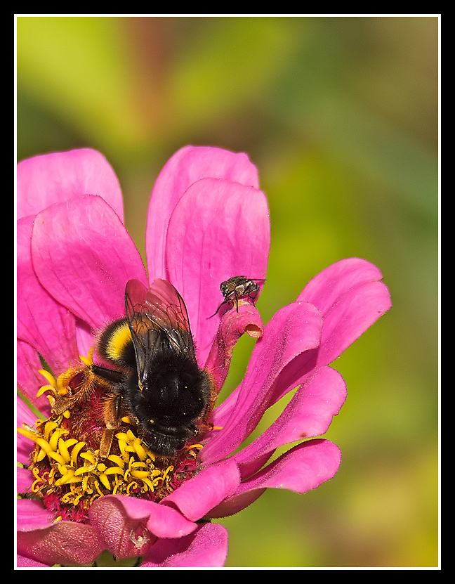 aspetto che tu finisca...