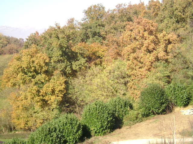 autunno