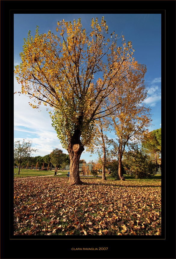 Uno sguardo...sul parco