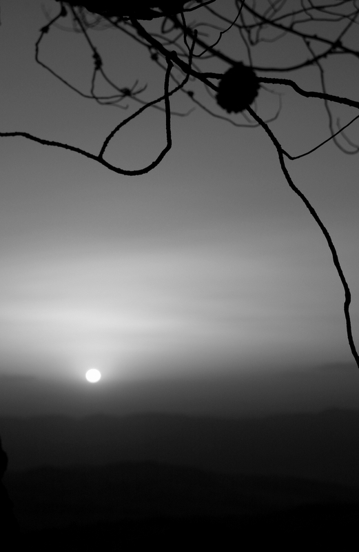 ...gli ultimi colori tenui...bw