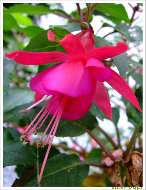 Colori dell'Autunno 2