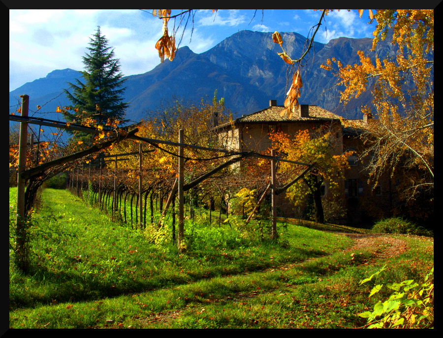 La casa dei miei sogni...