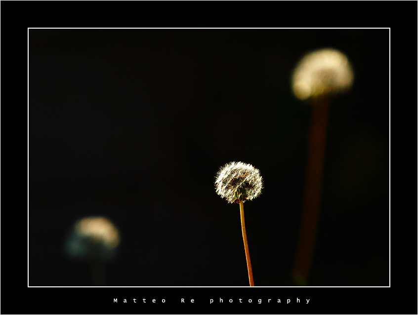 Non c'� due senza tre