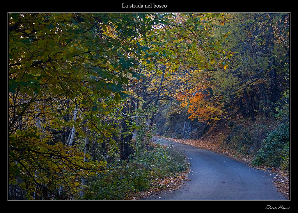 La strada nel bosco