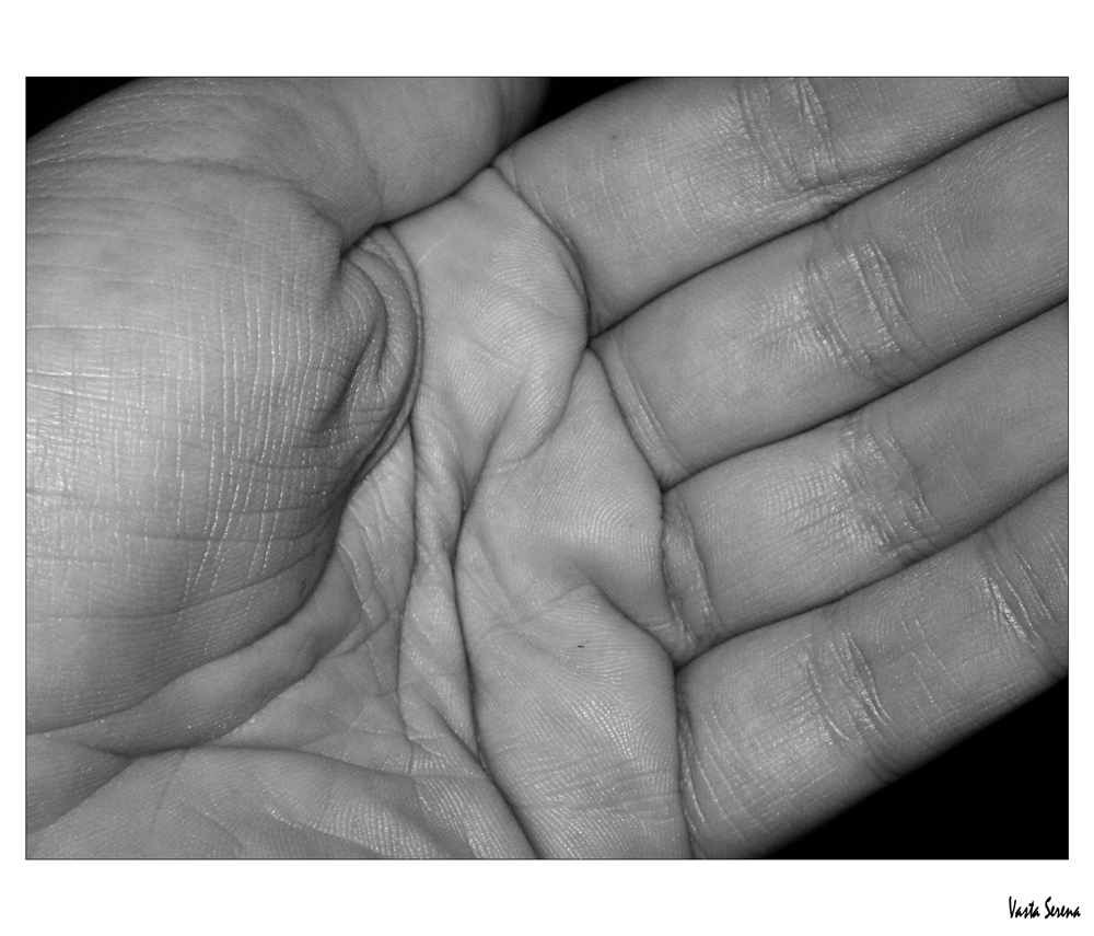 Il profumo delle mani